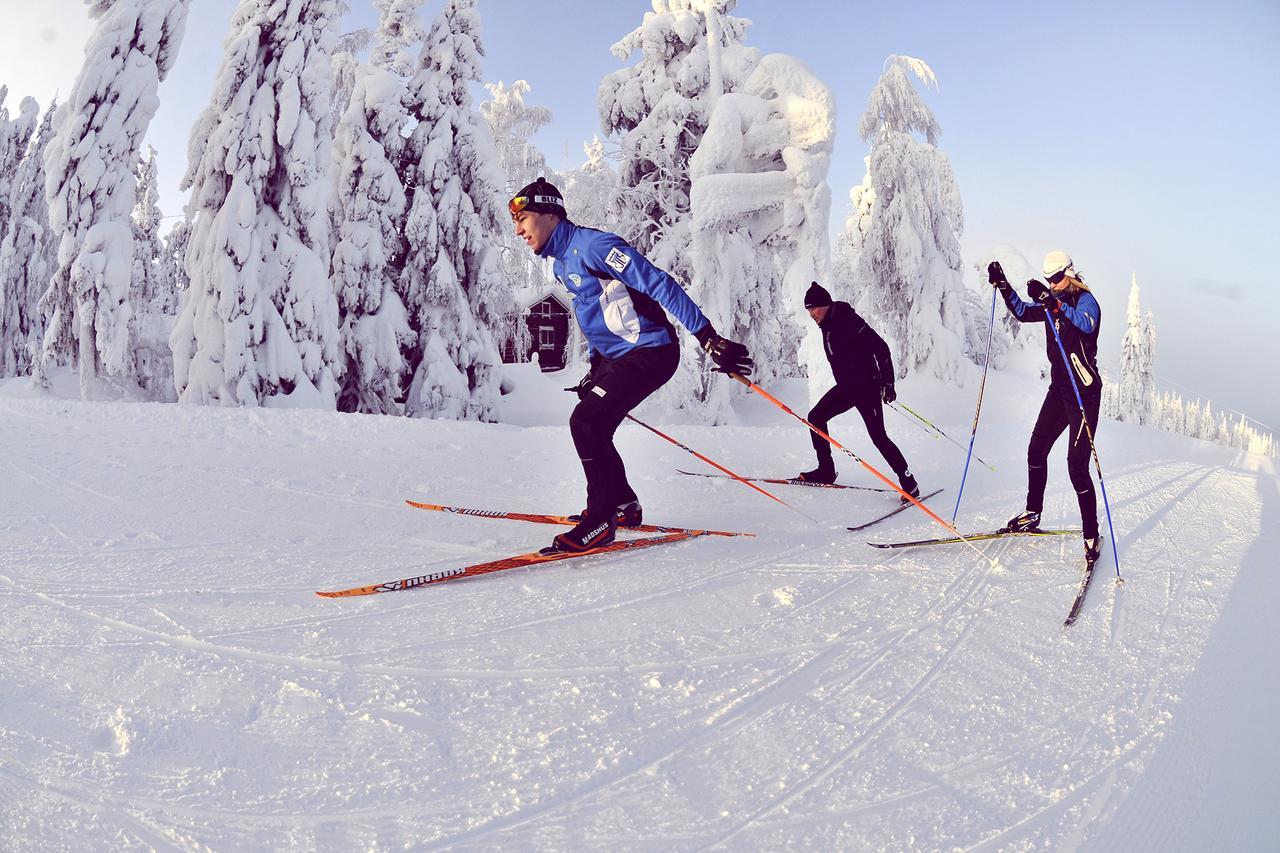 Vuokatti Sport Chalets Eksteriør billede